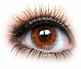 眼前會突然飄過一條線眨眨眼就消失是怎么回事？