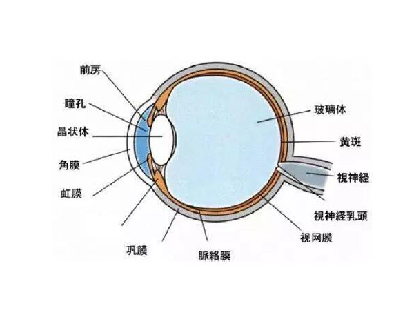小心！高溫性眼灼傷